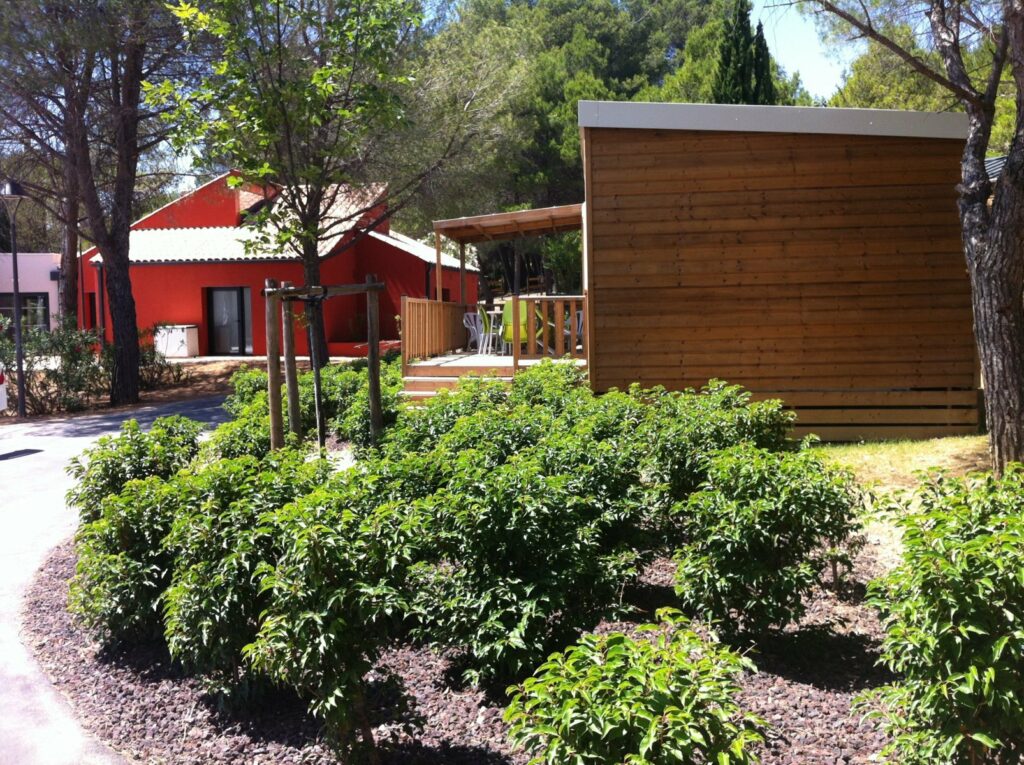 A12-23_DET_PhotosTvx20150619 (21)