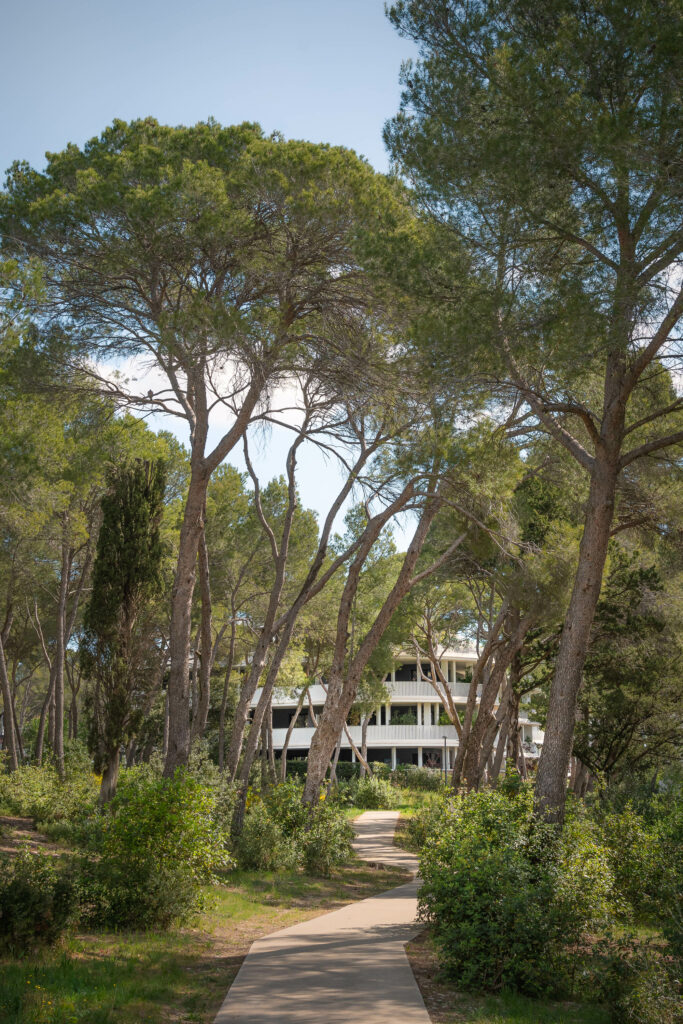 GAU - DOMAINE DE CAYLUS-11