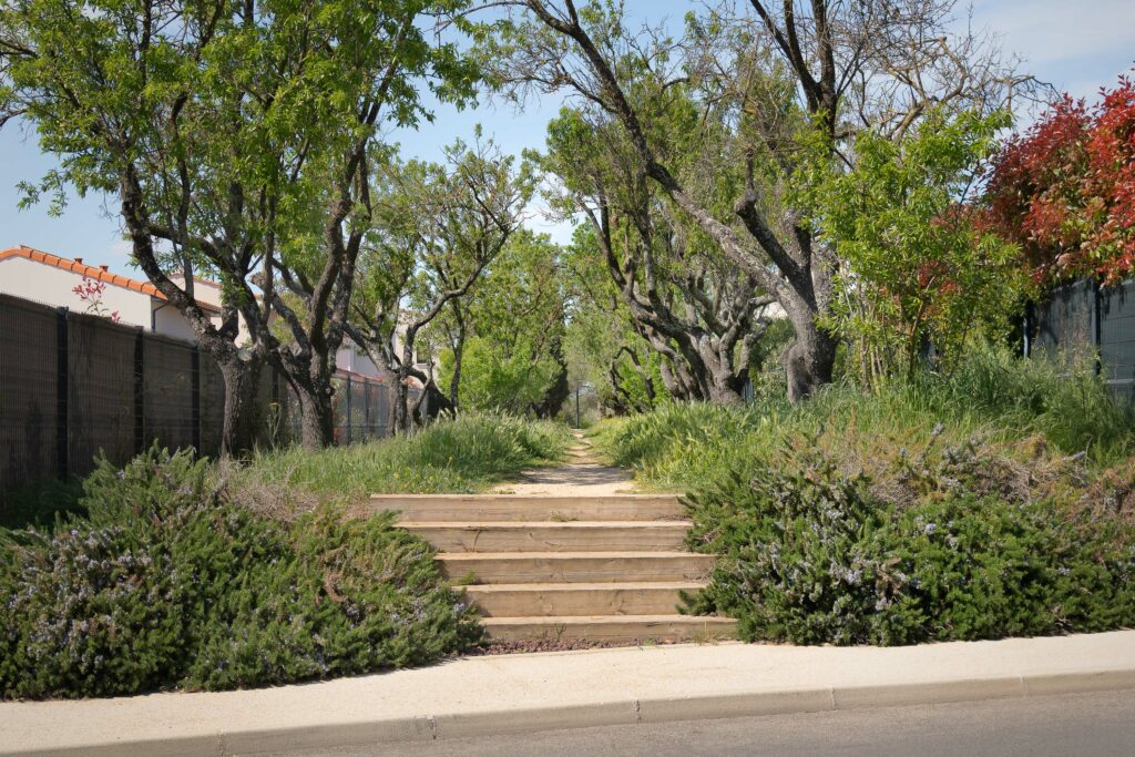 GAU - DOMAINE DE CAYLUS-15