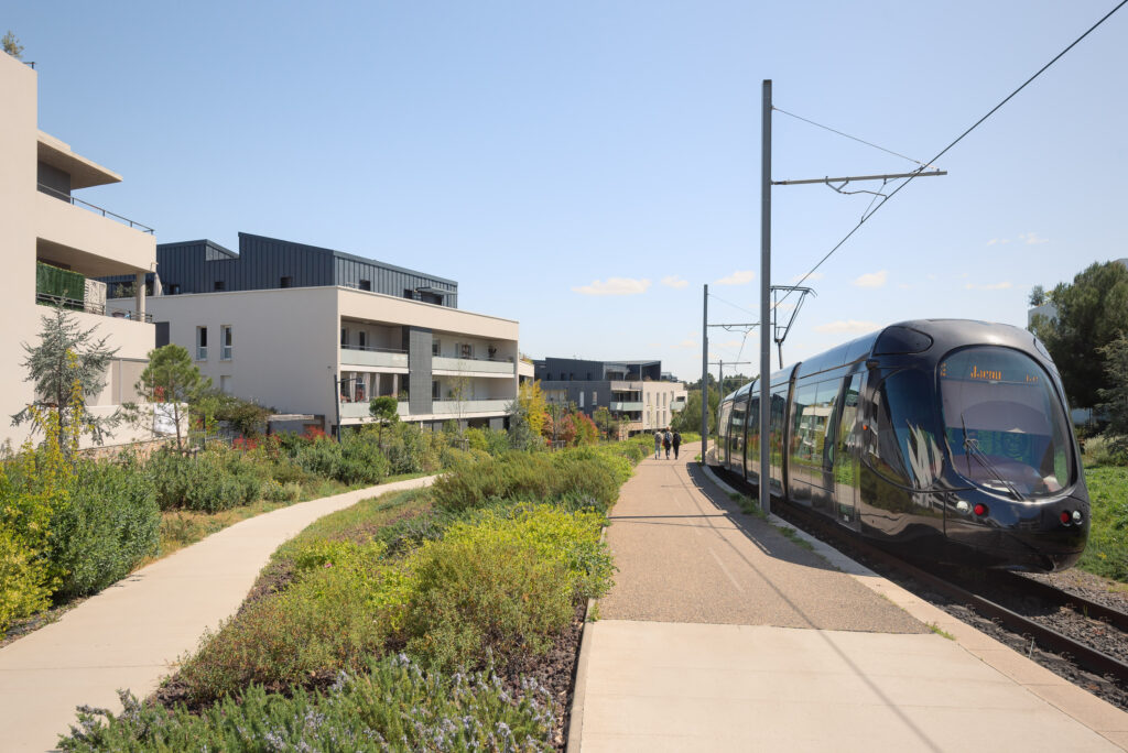 GAU - DOMAINE DE CAYLUS-17