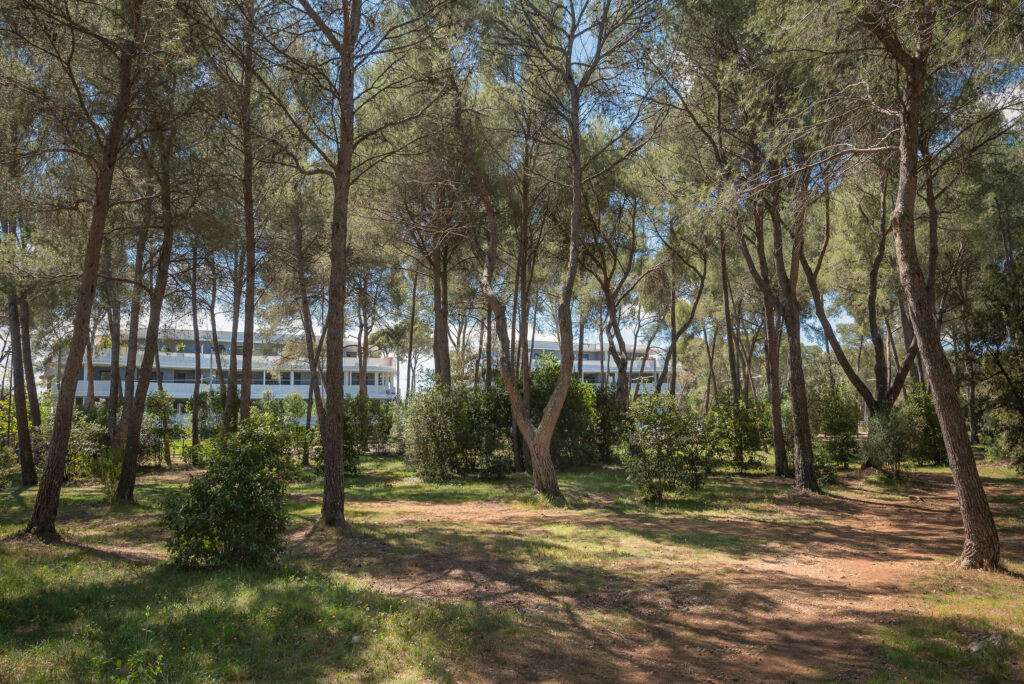 GAU - DOMAINE DE CAYLUS-21