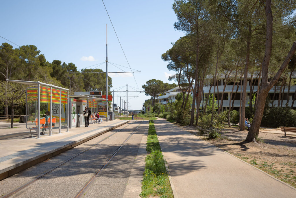 GAU - DOMAINE DE CAYLUS-22
