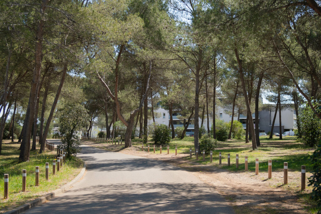 GAU - DOMAINE DE CAYLUS-30