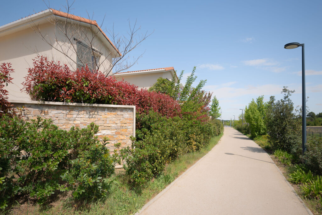 GAU - DOMAINE DE CAYLUS-31