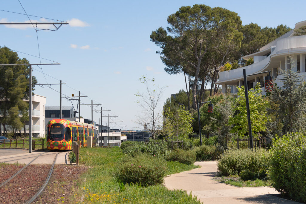 GAU - DOMAINE DE CAYLUS-32