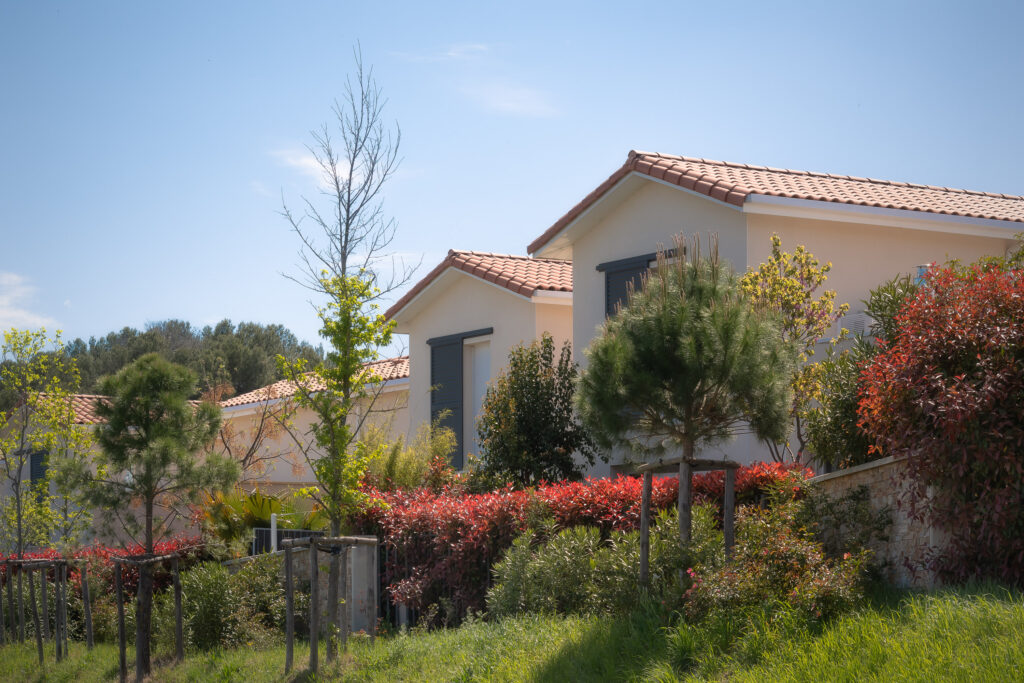 GAU - DOMAINE DE CAYLUS-35