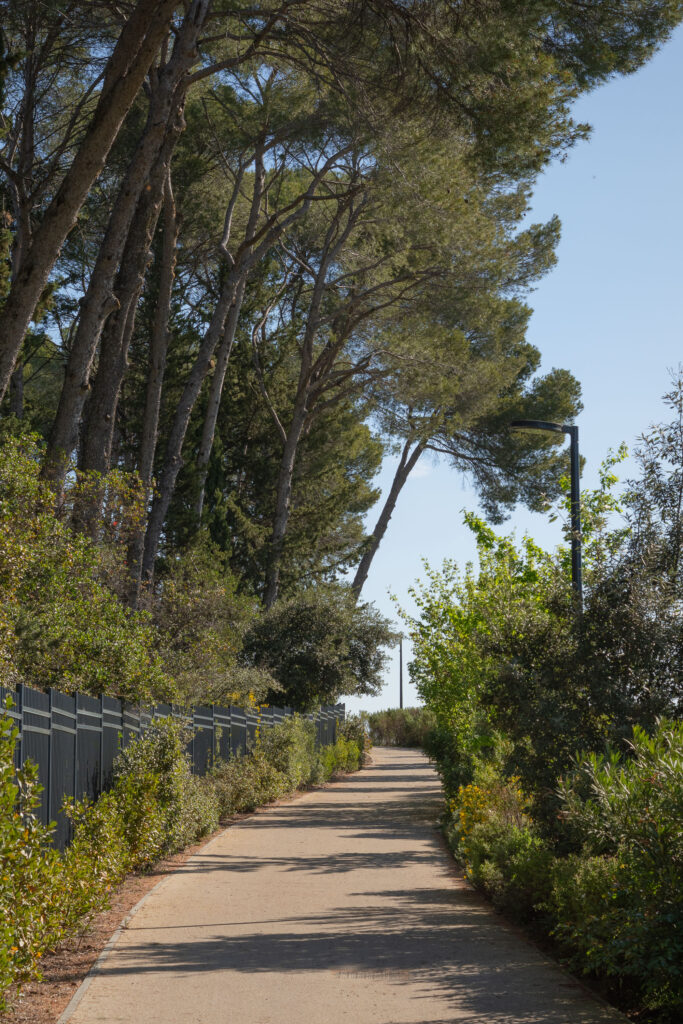 GAU - DOMAINE DE CAYLUS-4
