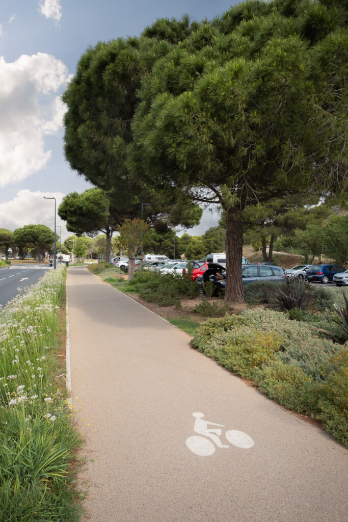 GAU - Boulevard Pech Maynaud Gruissan-17