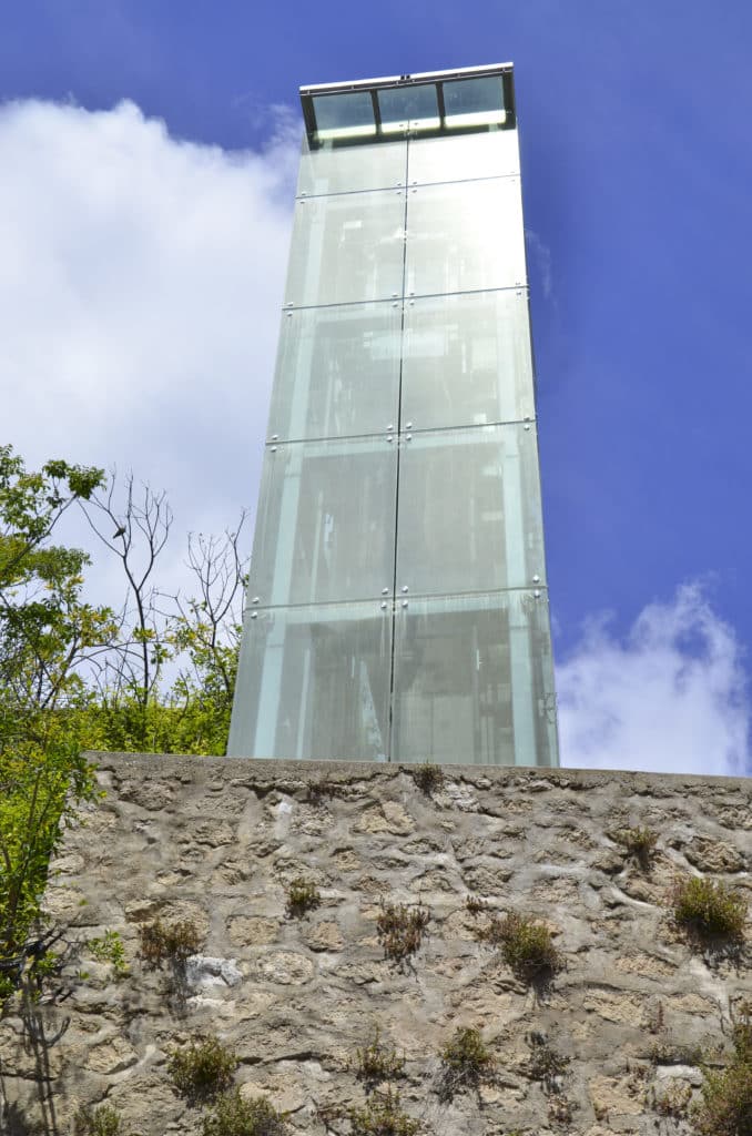 DSC_3987