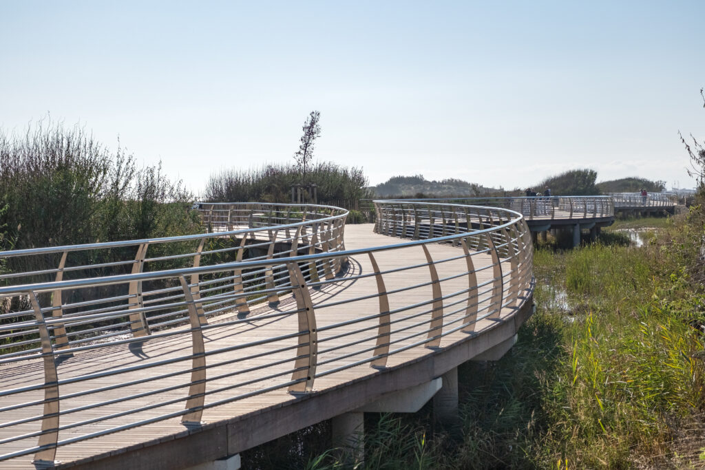 GAU - PROMENADE MARITIME - FLEURY D'AUDE-1