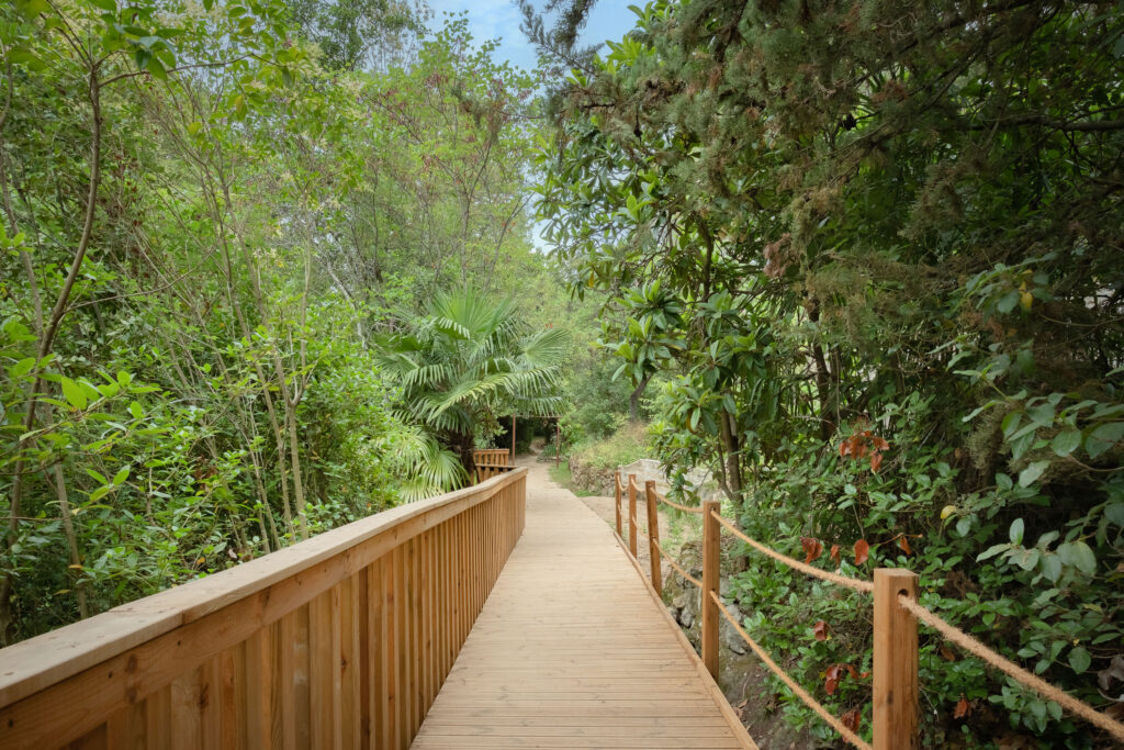 GAU - PARC SABLÉ - CASTELNAU-LE-LEZ-15