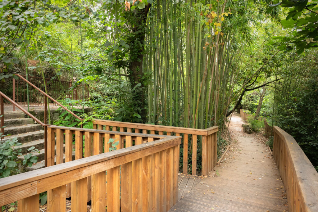 GAU - PARC SABLÉ - CASTELNAU-LE-LEZ-4